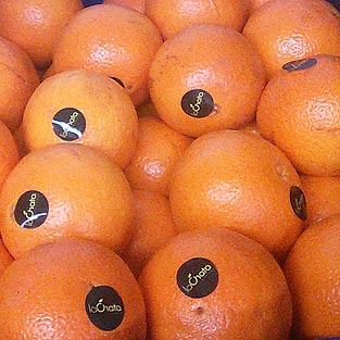 Naranja de mesa Navelate
